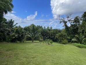 Property grounds - Beautiful Home in paradise! (Hana)