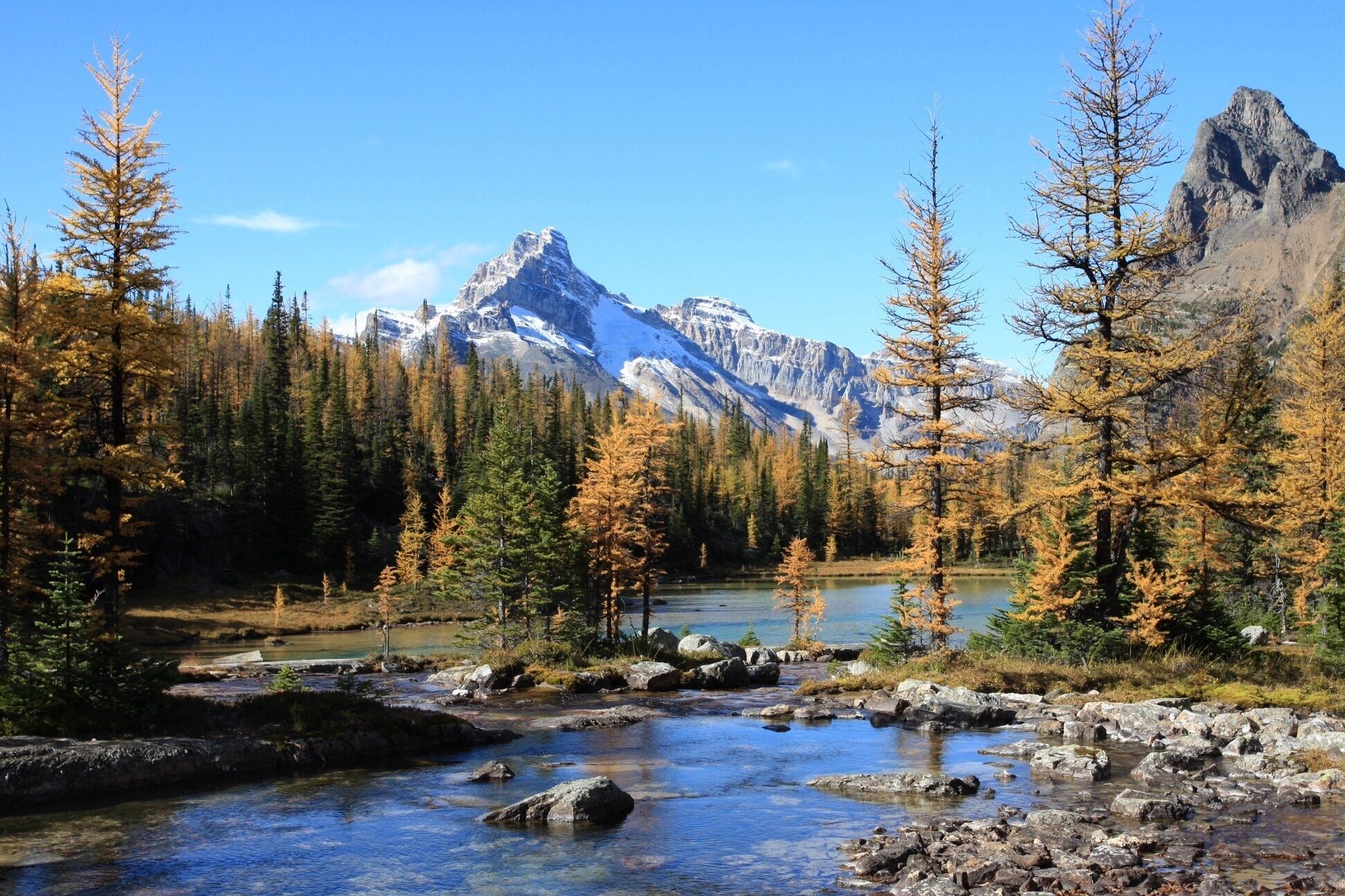 A mountainous landscape with a clear stream and coniferous trees.