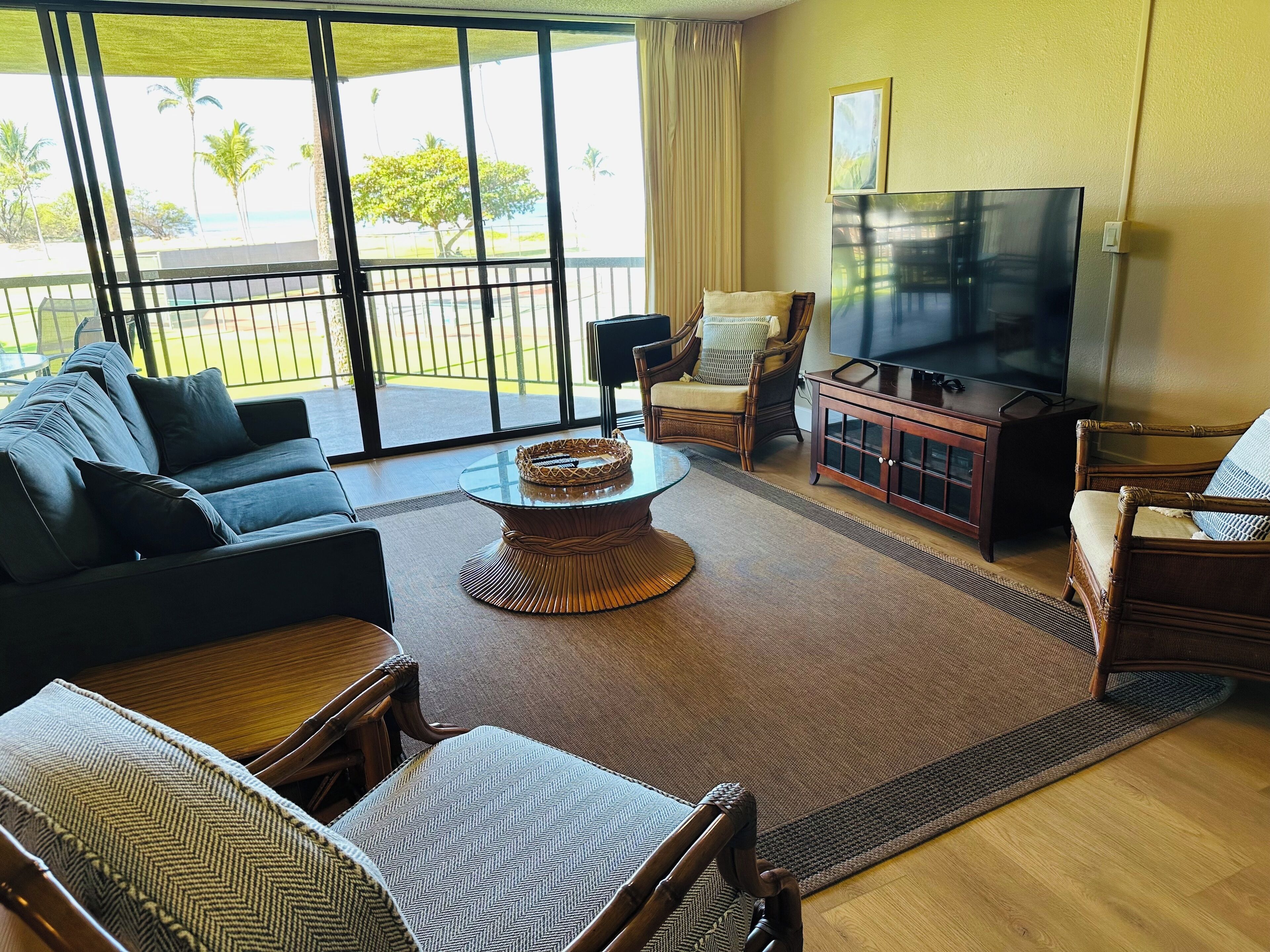 Smart TV, DVD player, books