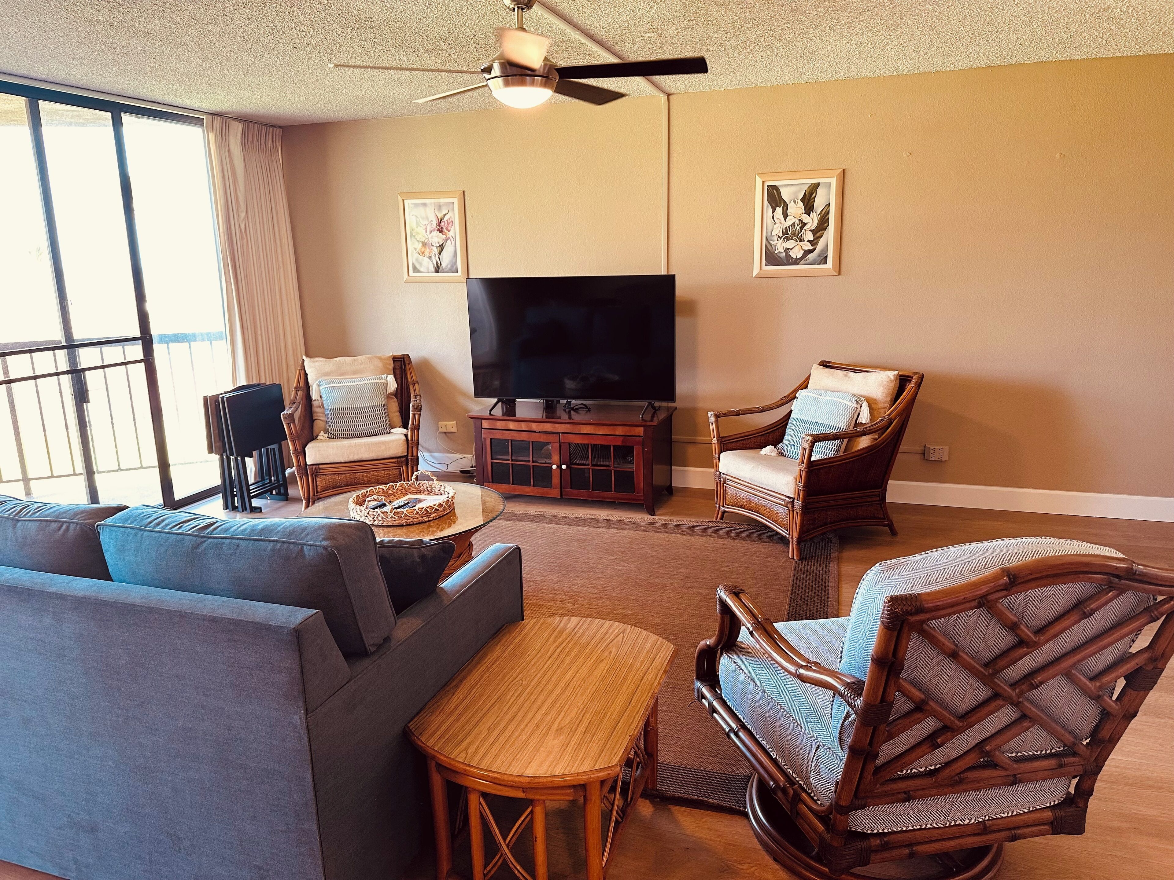 Smart TV, DVD player, books