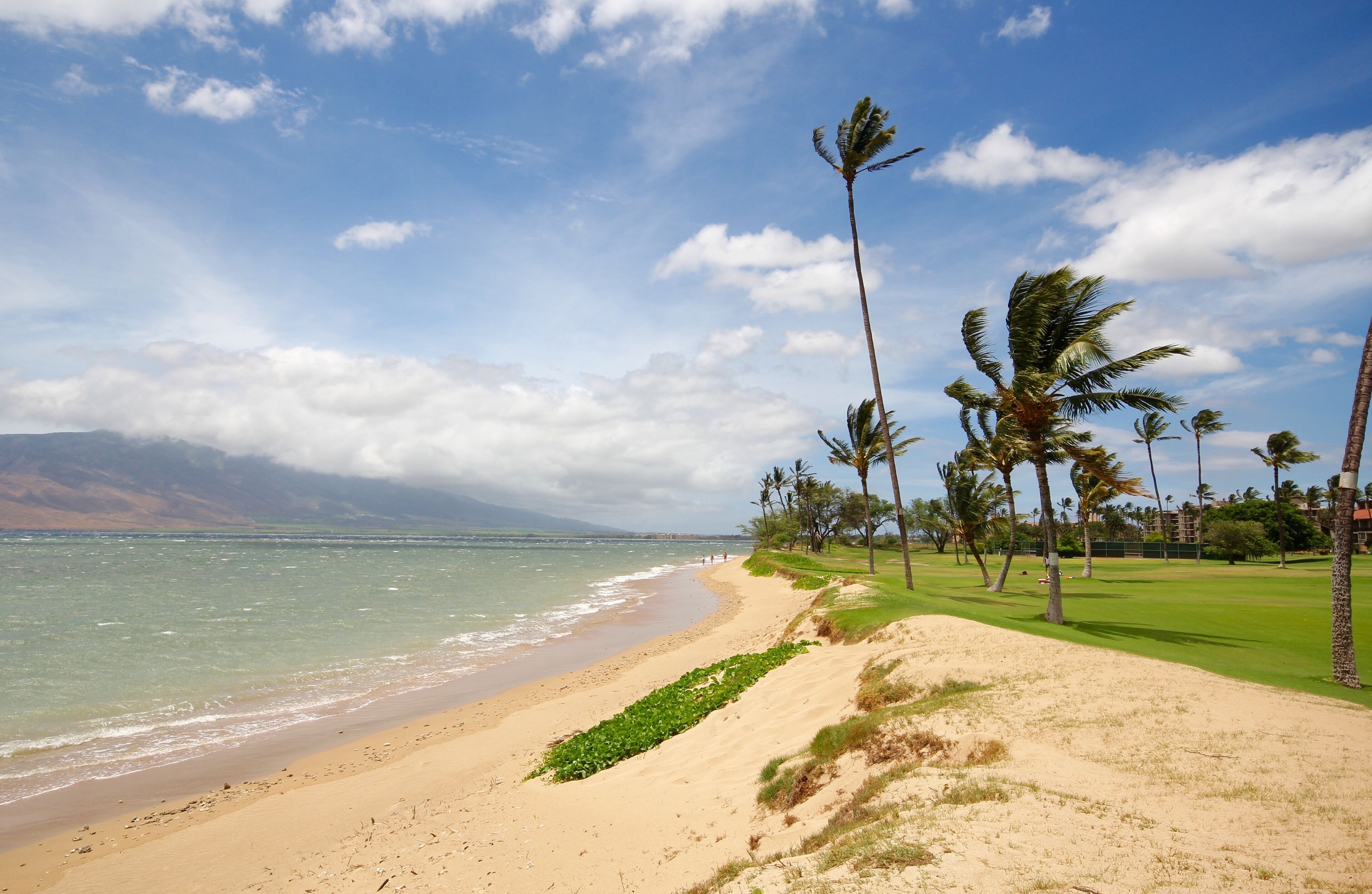 On the beach, sun loungers, beach towels