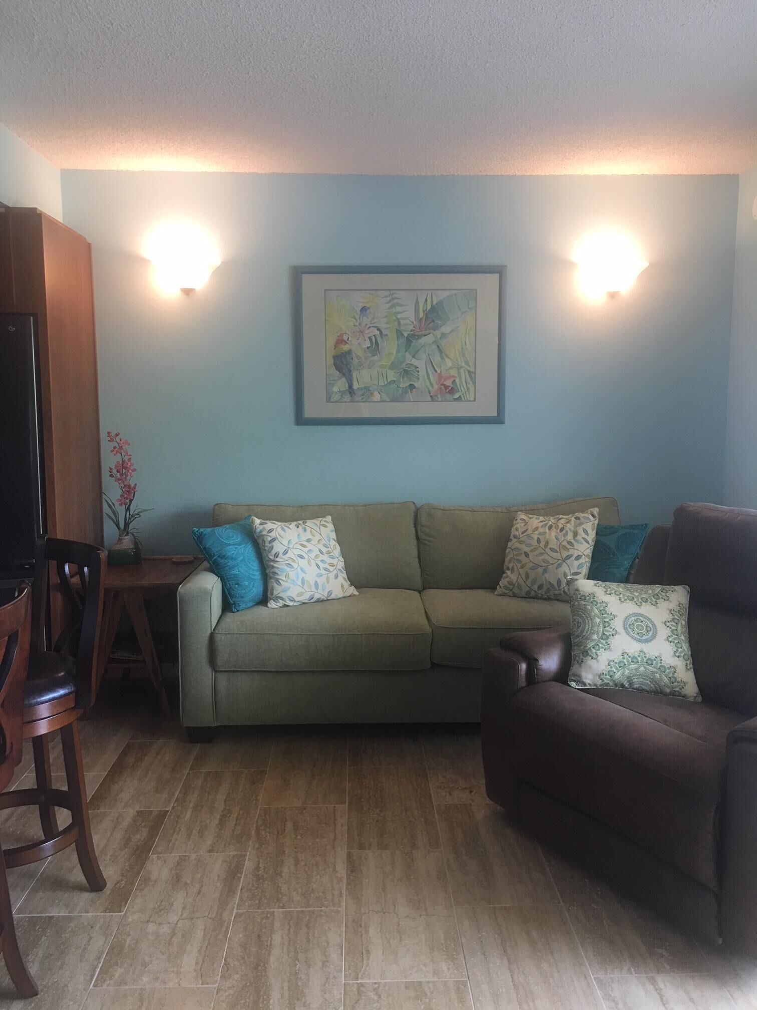 TV, DVD player, books, music library