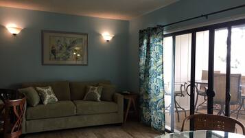 TV, DVD player, books, music library