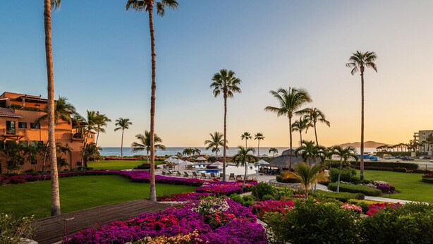 A resort with a pool area, palm trees, and a view of the ocean. - Beachfront 2BR Condo | Casa Del Mar Dorado 101 (San Jose del Cabo)