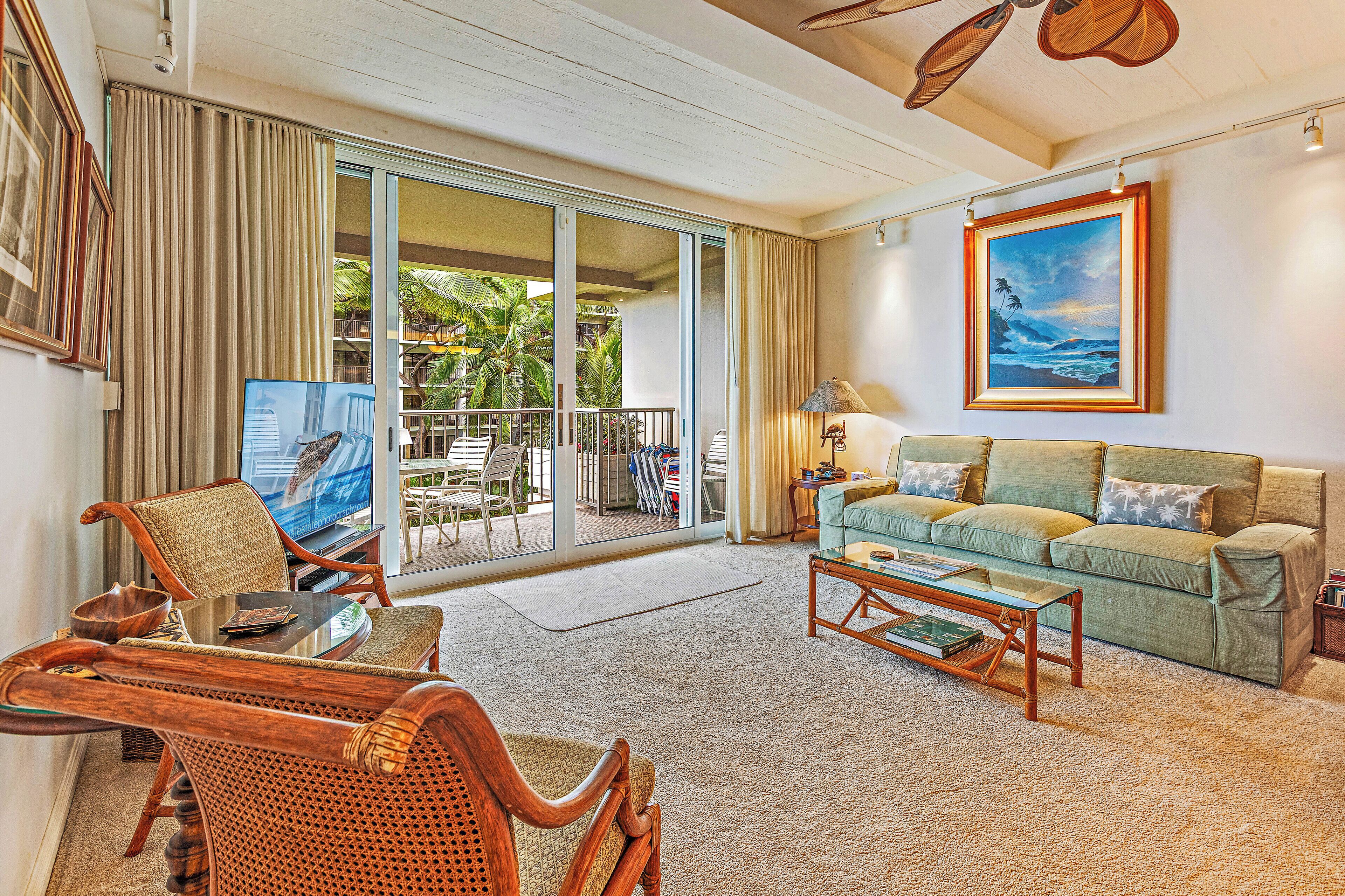 TV, DVD player, books, music library