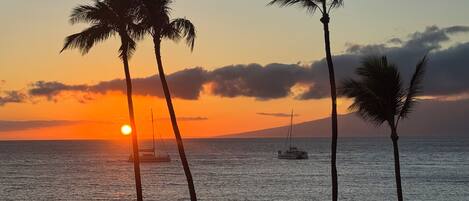 On the beach, sun-loungers, beach towels