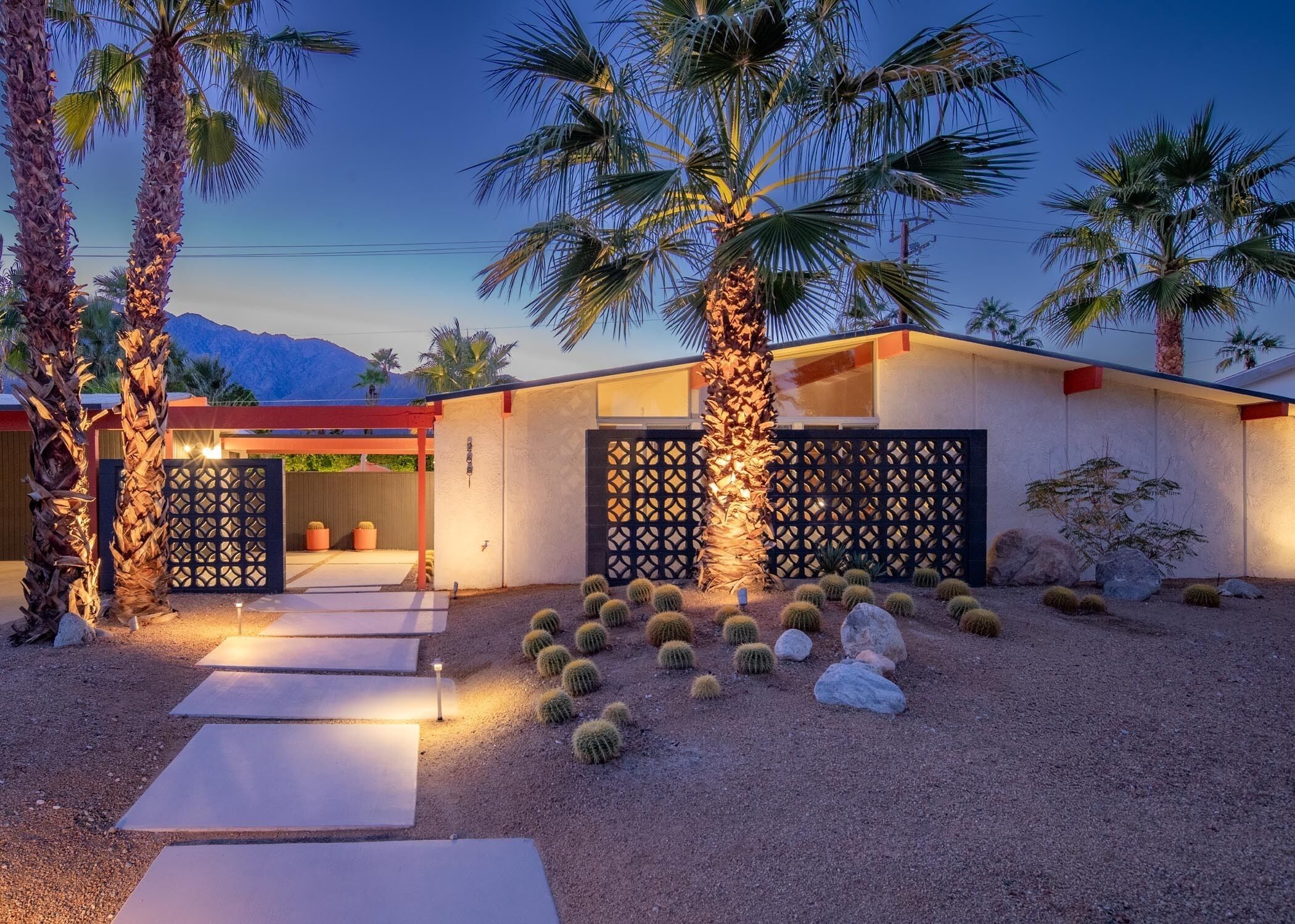 Evening charm under the stars