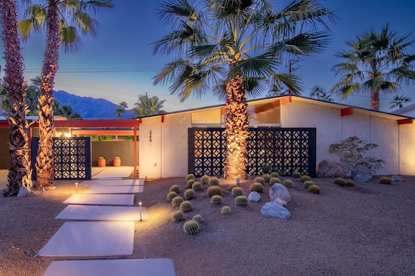 Evening charm under the stars