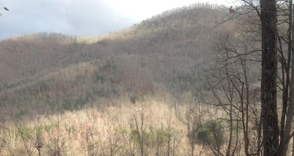 'Beautiful 7 BR 5 Bath Log Home with a game room, Hot Tub, and Starlink internet