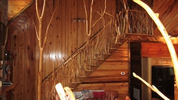 Televisión, chimenea, videojuegos y reproductor de DVD