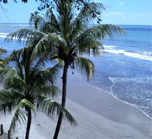 On the beach, sun loungers, beach towels