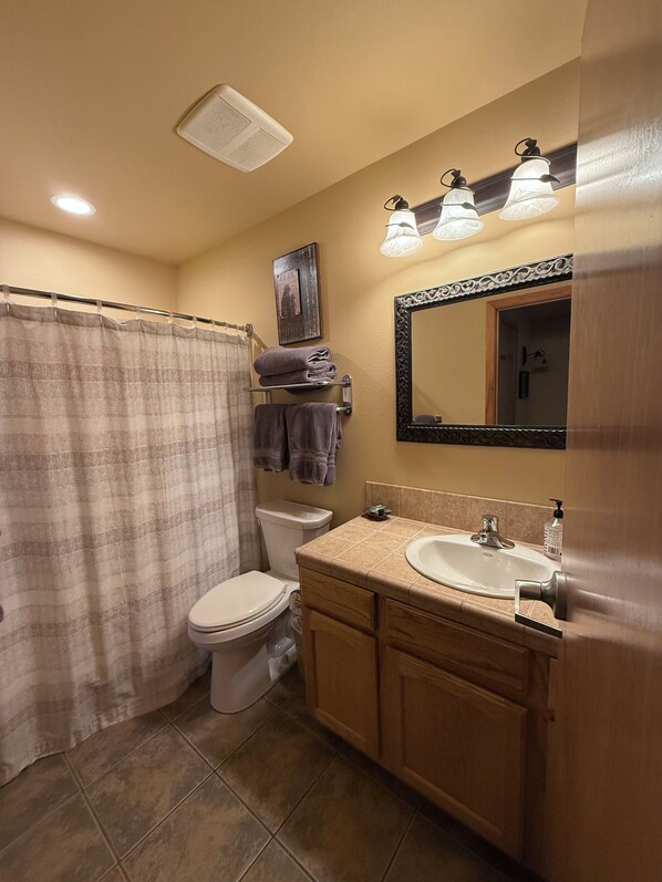 Un bagno con toilette, lavandino e tenda da doccia.