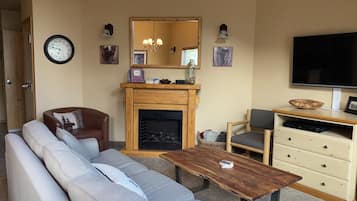 Smart TV, fireplace, DVD player, books