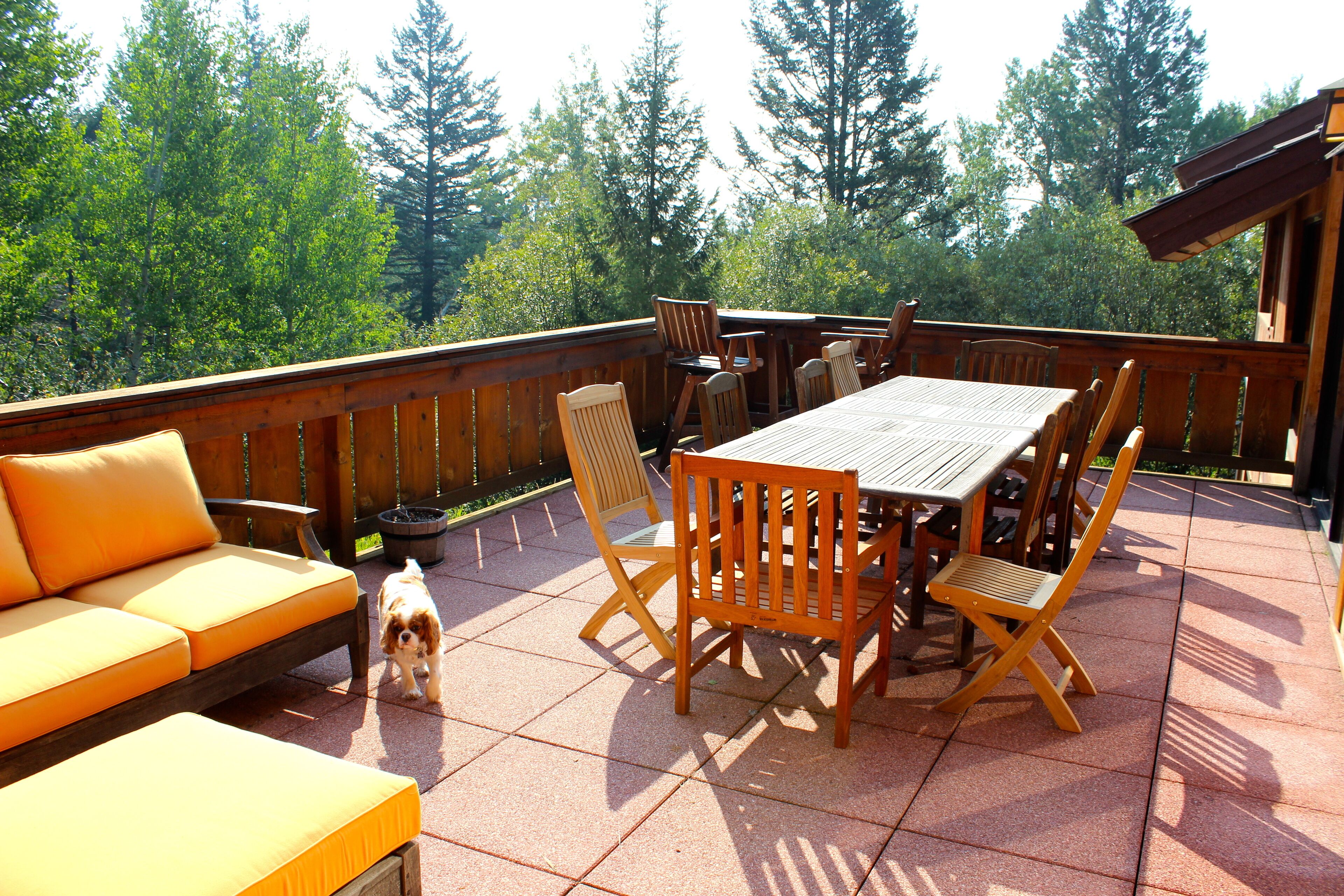 Eine Terrasse im Freien mit Holzdeck, einem Tisch mit Stühlen, einer Couch und einem Hund.