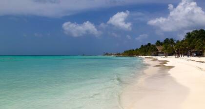 Fresh and Clean Beachfront Ground Floor Condo #9 at Nautibeach