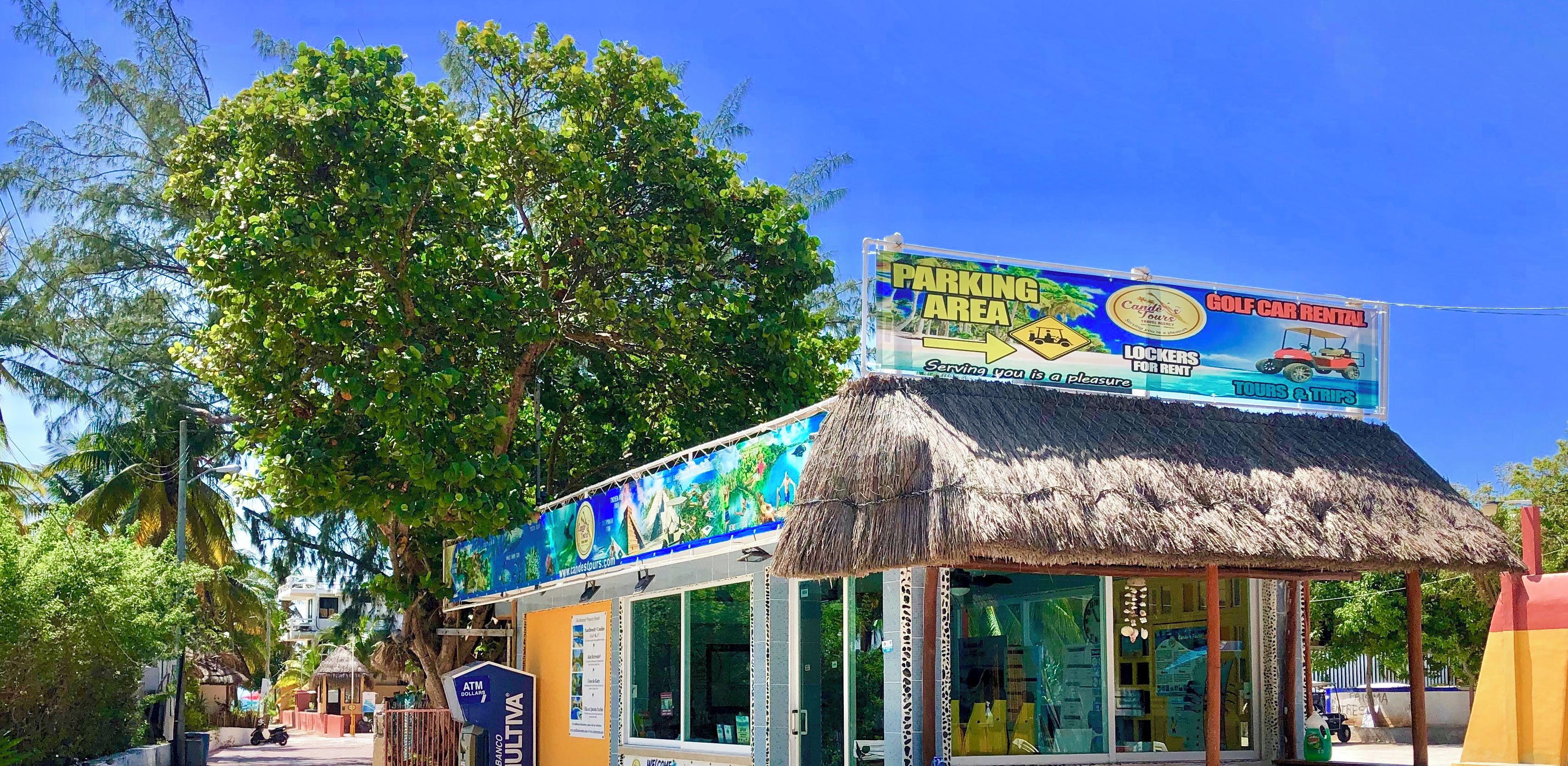 A beachside rental office with a thatched roof, surrounded by trees and a clear blue sky.
