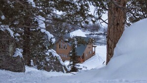 A snow-covered landscape with a house partially obscured by trees. - Gorgeous riverfront, 4-BR (2-master suite) home! (Southfork)