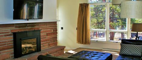 Smart TV, chimenea y estéreo