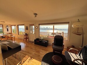 TV, DVD player, video library, stereo