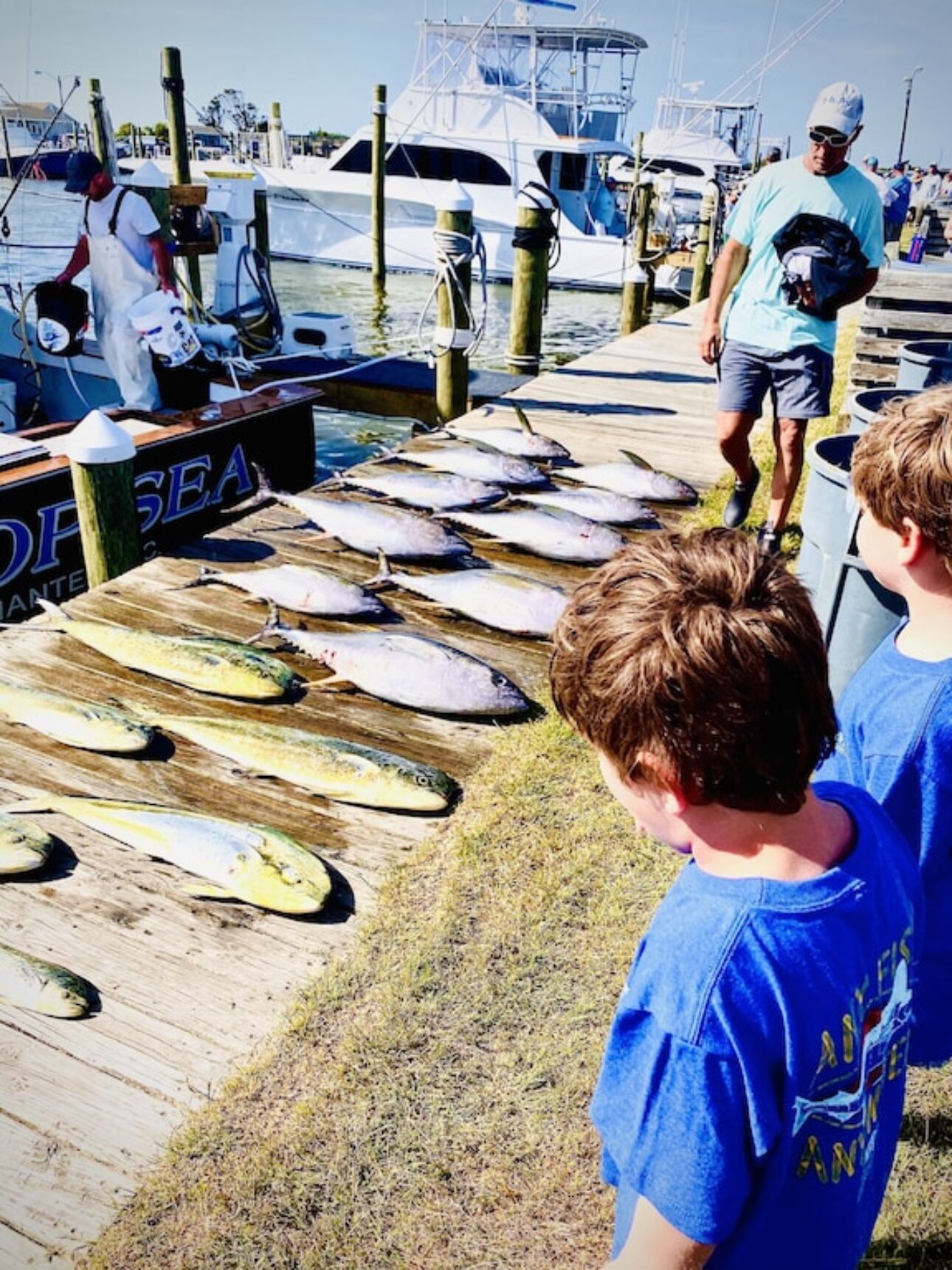 En bro med flere fisk udlagt på træplanker, et skilt med teksten "OCEAN" og både i baggrunden.