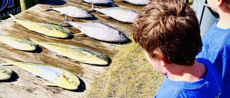 En bro med flere fisk udlagt på træplanker, et skilt med teksten "OCEAN" og både i baggrunden.