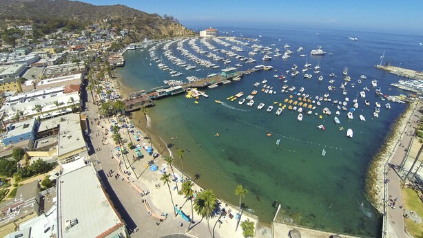 An aerial view of a coastal town with a marina filled with boats, a beach with umbrellas, and buildings along the waterfront. - Spacious 5 bedroom home, 1 block from beach (Avalon)