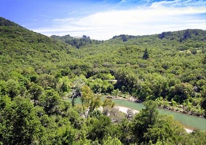 Fitch Mtn Lookout- Gorg & Comfy!Pets-Walkable Russian River-Spa under the stars!