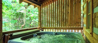 Luke11:33 5mile Dwntwn Pigforg~Pkwy-Hotub-Gameroom-wifi-NO EXTRA FEES