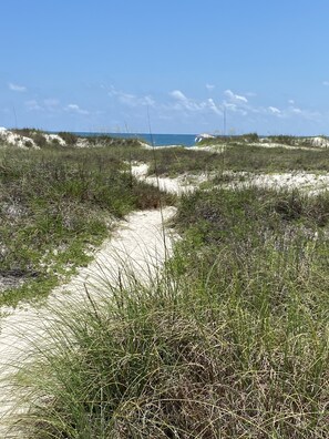 A coastal landscape with sand dunes and sparse vegetation.