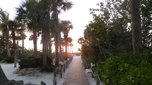 A paved pathway lined with palm trees and benches, leading towards a sunset. - Siesta Key private beach access (Sarasota)