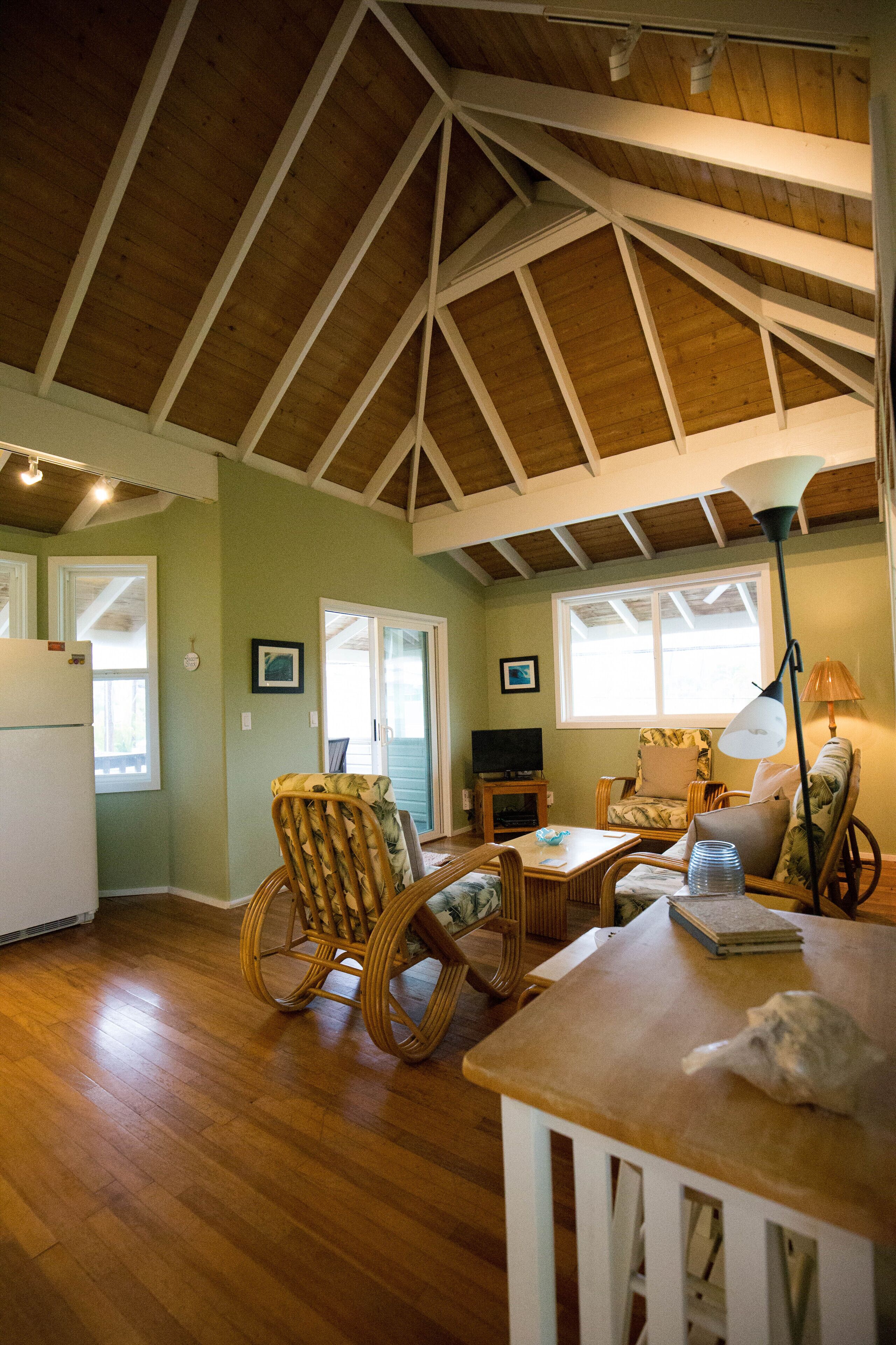 TV, books, music library, stereo