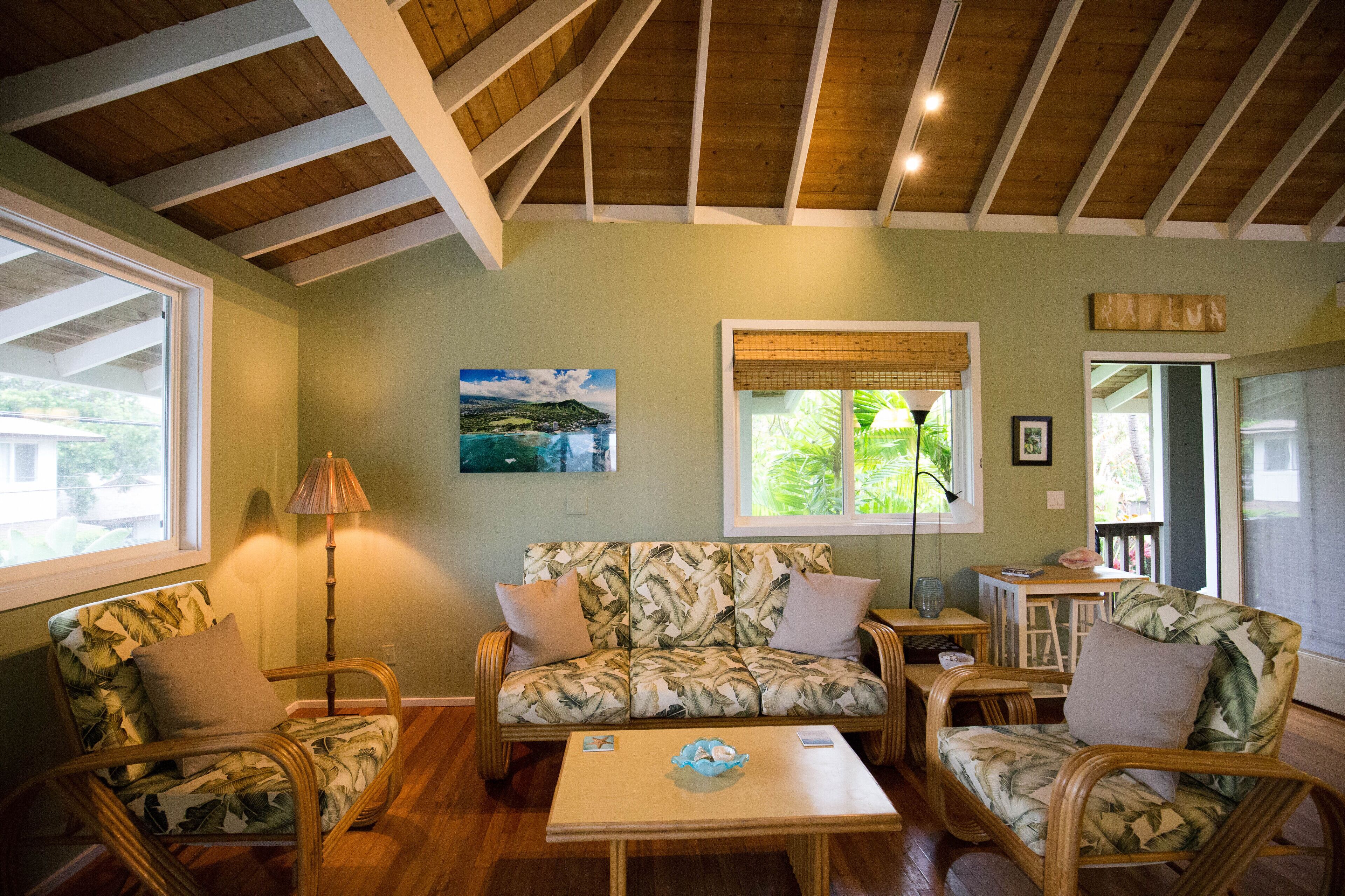 TV, books, music library, stereo