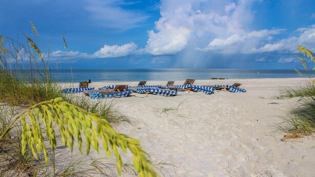Ein Strand mit Liegestühlen und blauem Himmel.