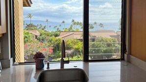 Uma cozinha com pia de aço inoxidável, janela com vista para a costa e um vaso de planta no parapeito.