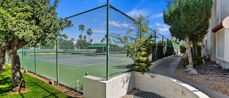 Sports court