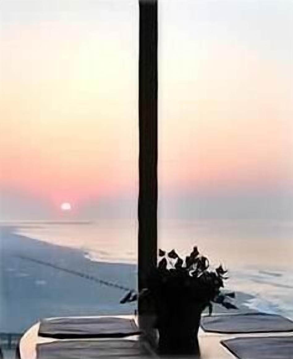 A sunset view from a balcony with a potted plant.