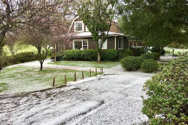 The cottage covered in hail