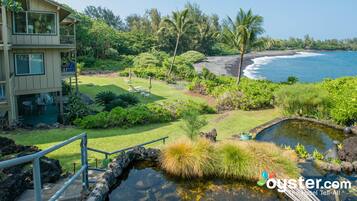 Terrain de l’hébergement