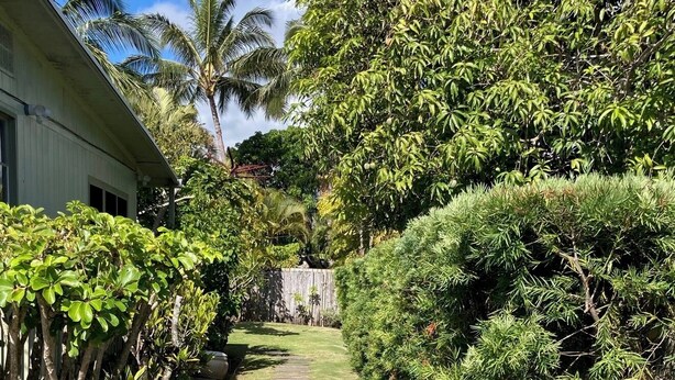 Un sendero conduce a una casa de aspecto blanco, rodeada de abundante vegetación y palmeras.