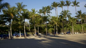 A beach with palm trees and sun loungers. - Enjoy a Hawaiian vacation in Paradise Stay @ The World Famous Mauna Lani Resort (Puako)