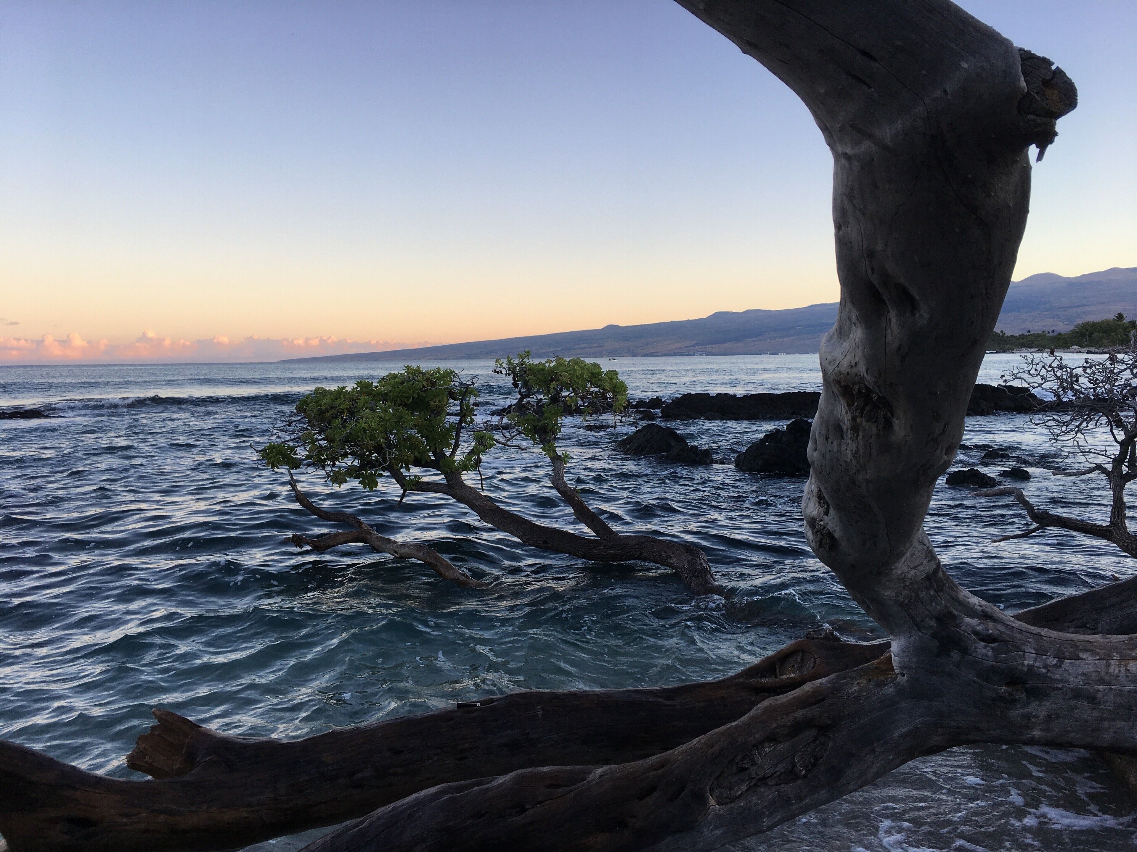 Beach nearby, sun loungers, beach towels