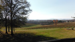 Un vignoble avec des rangées de vignes, une clôture en bois et un arbre au premier plan.