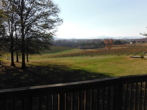 Back deck view of vineyards