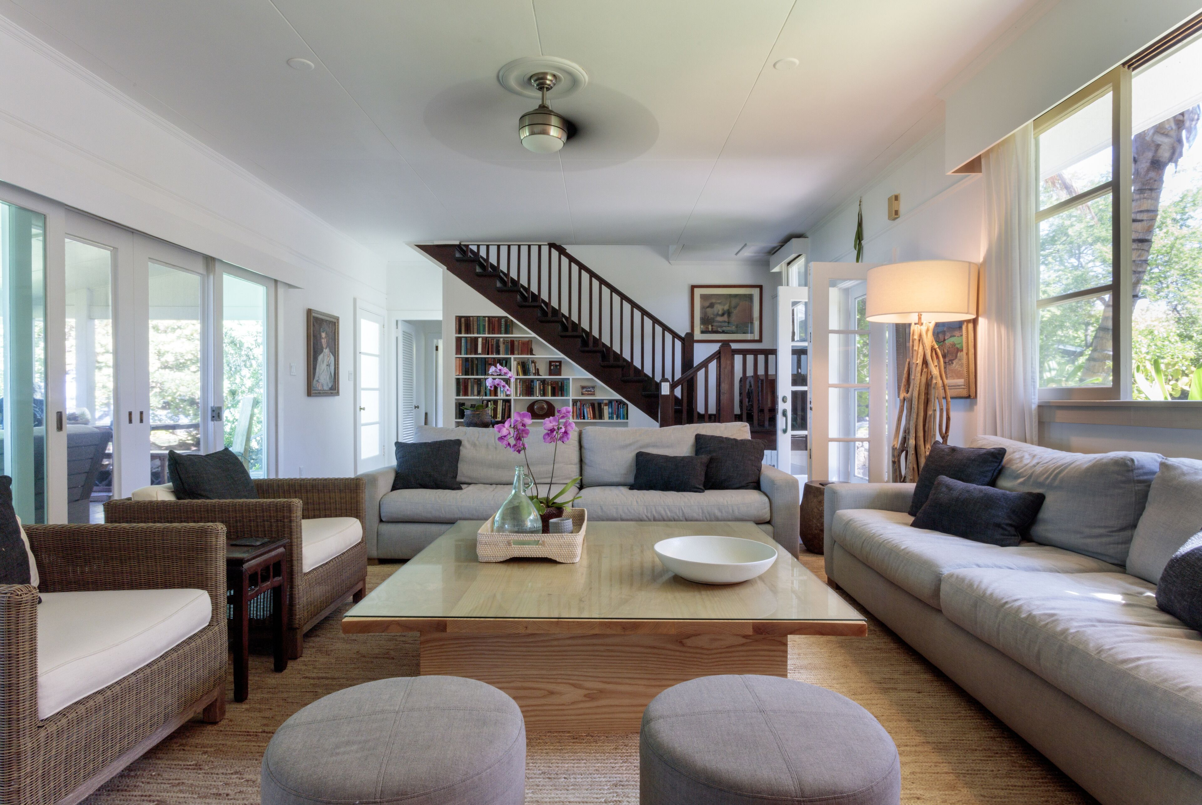 TV, DVD player, books, music library