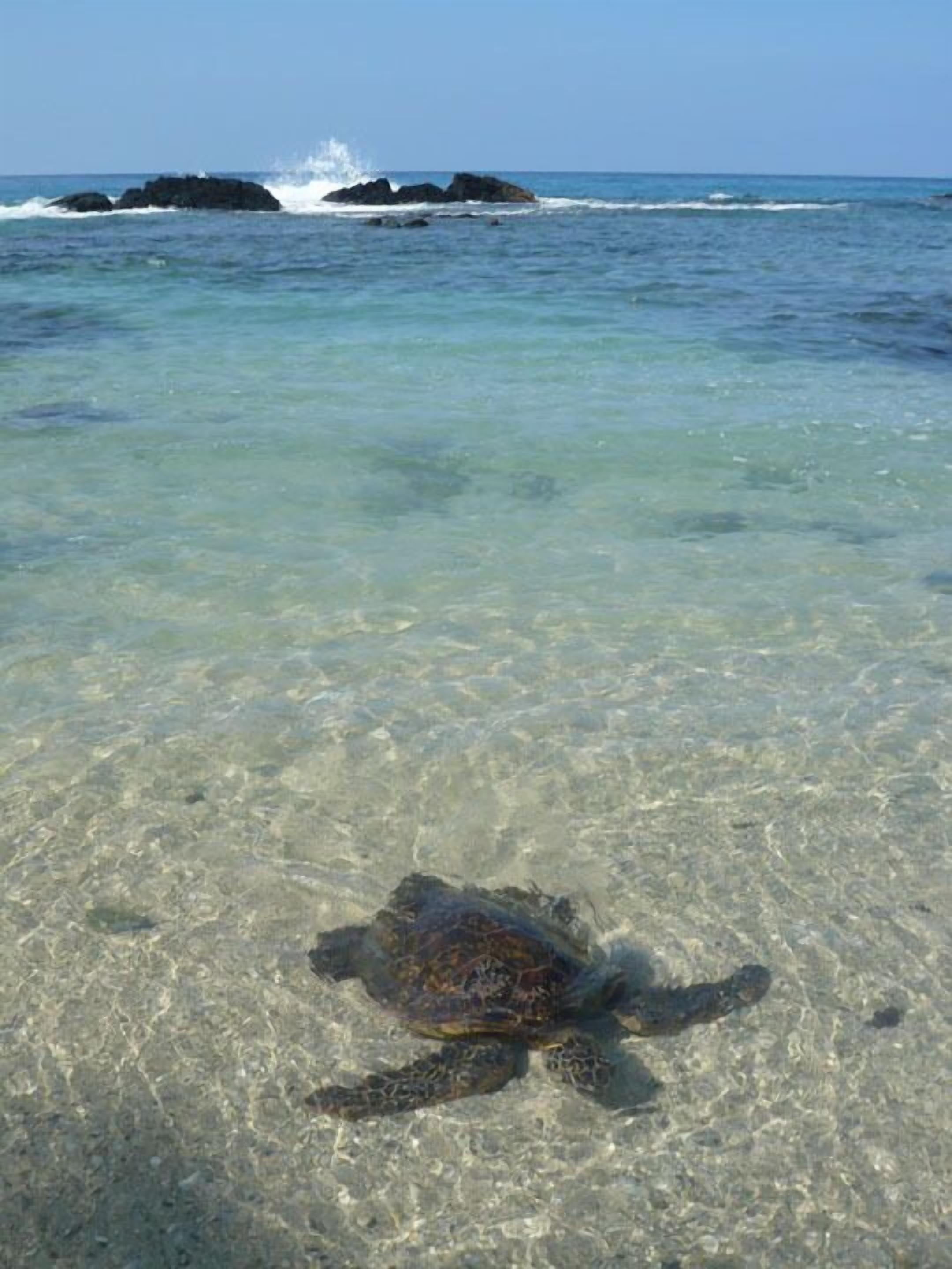 On the beach, sun loungers, beach towels