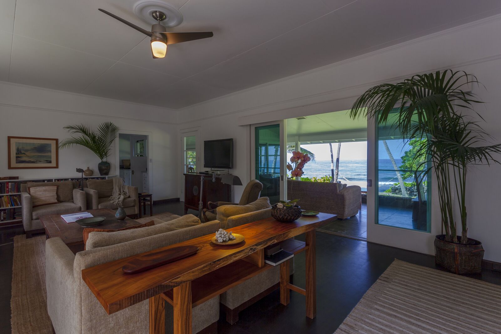 TV, DVD player, books, music library