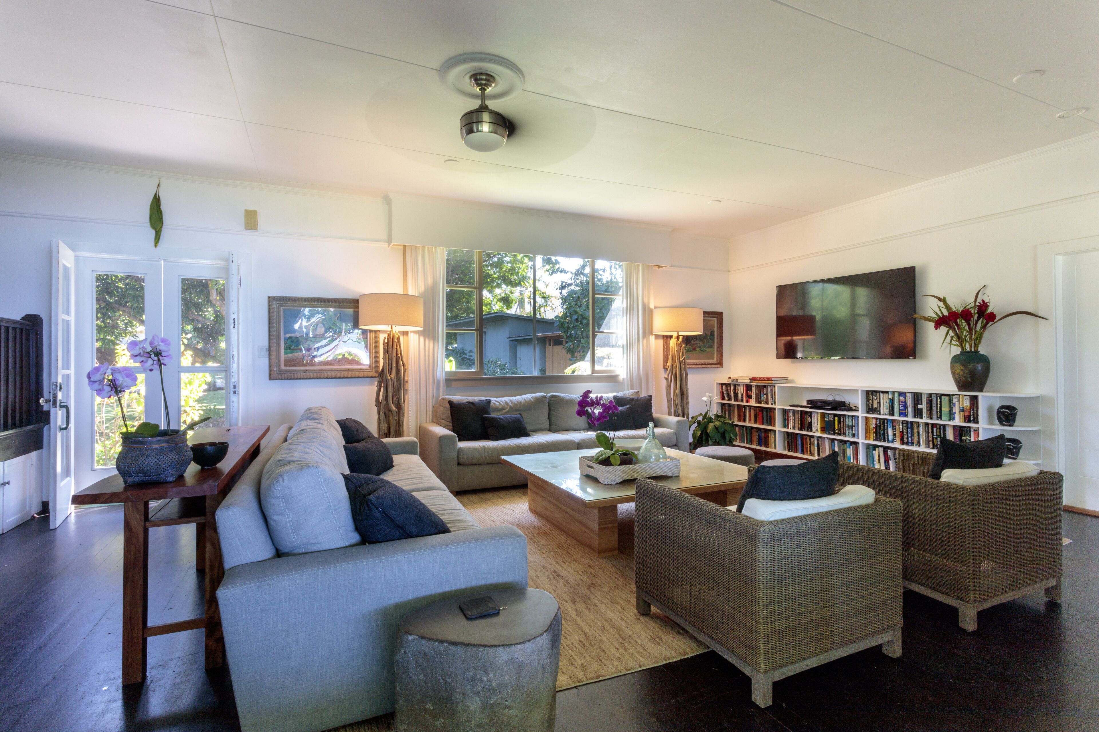 TV, DVD player, books, music library