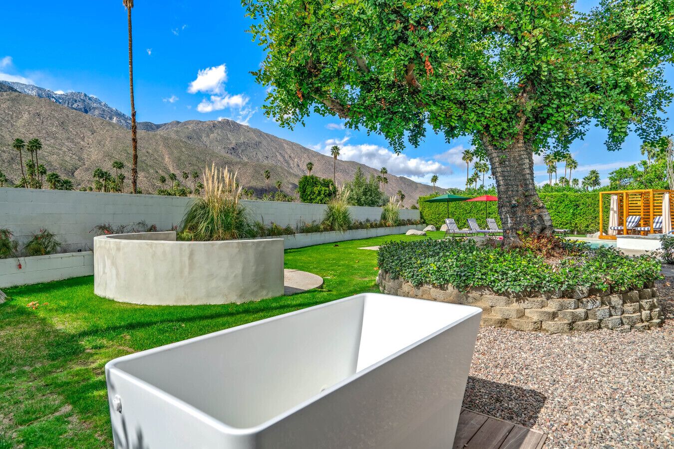 A modern outdoor area with a concrete planter, a pool, and lounge chairs under a tree.