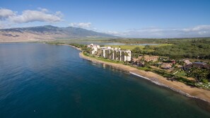 On the beach, sun-loungers, beach towels - Squeaky Clean & Remodeled ~ King Bed ~ Beachfront Sugar Beach 104 (Kihei)