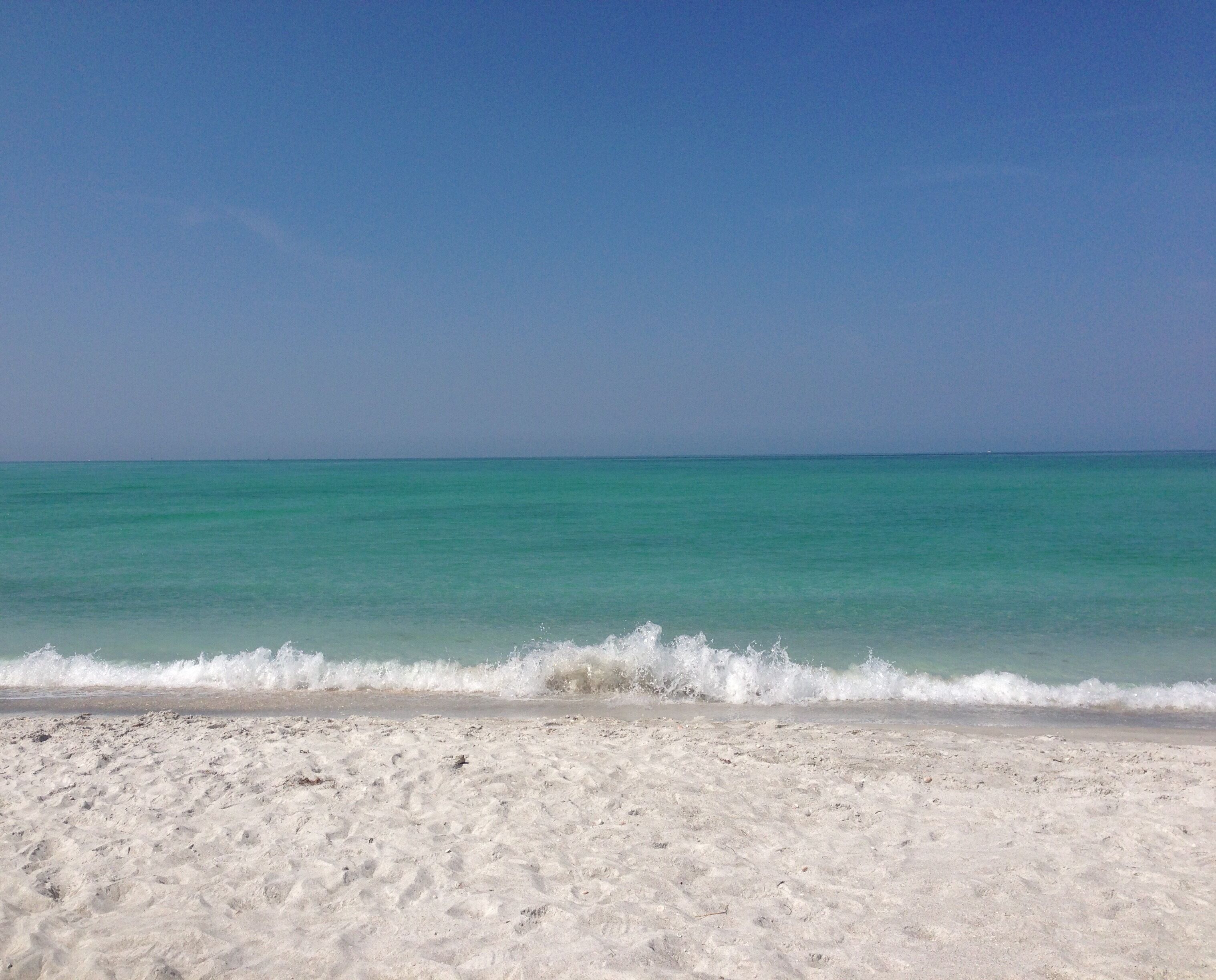 World-Class Oceanfront Resort at Siesta Key Beach 